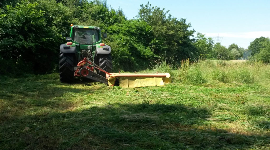 Schlepper mit Scheibenmähwerk