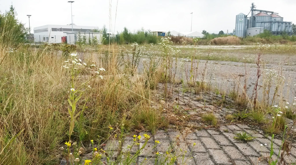 Hinter dem Gelände wartet das Festbuffet: Industriebrache!