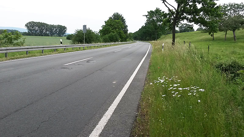 L 433 hinter Hohenrode (04. Juni 2019)