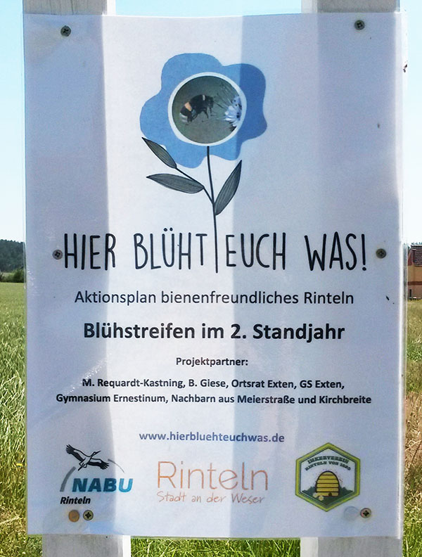 Stelen und Poster Meierstraße, Exten