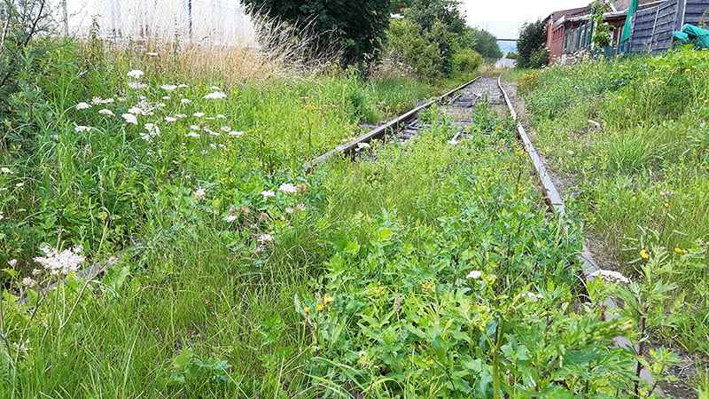 Draisinenstrecke durch die Natur entlang der Zivilisation