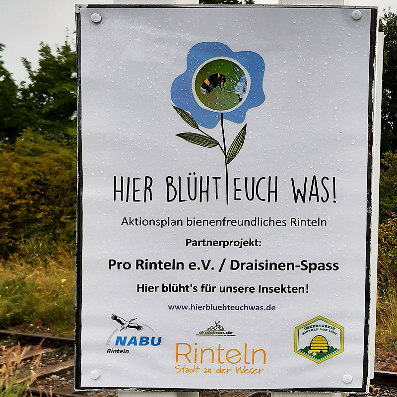 Pro Rinteln e.V. ist Projektpartner bei HIER BLÜHT EUCH WAS