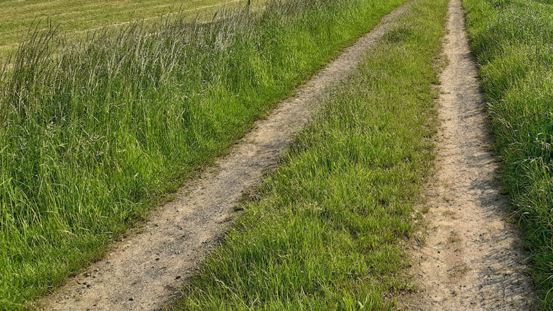 Projekt: Naturpflege Zur Lammert!