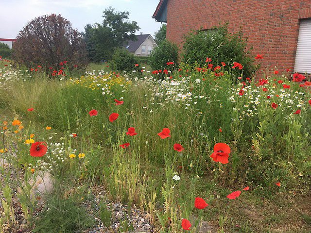 Garten Familie Kupper, Exten