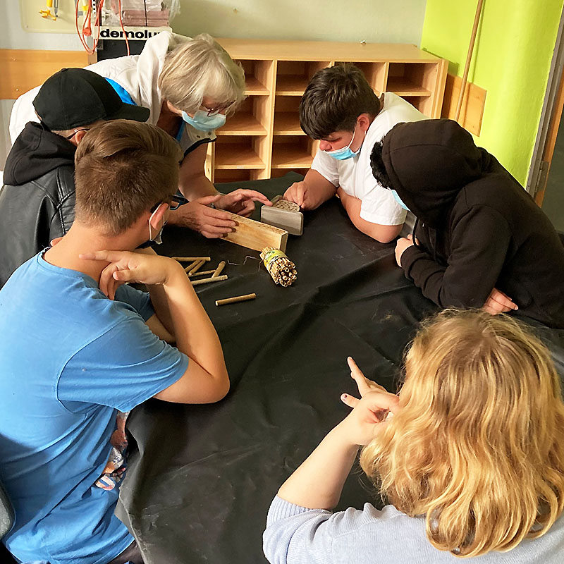 Hildburgschule in Rinteln - Nisthilfe bauen - Grundlagen