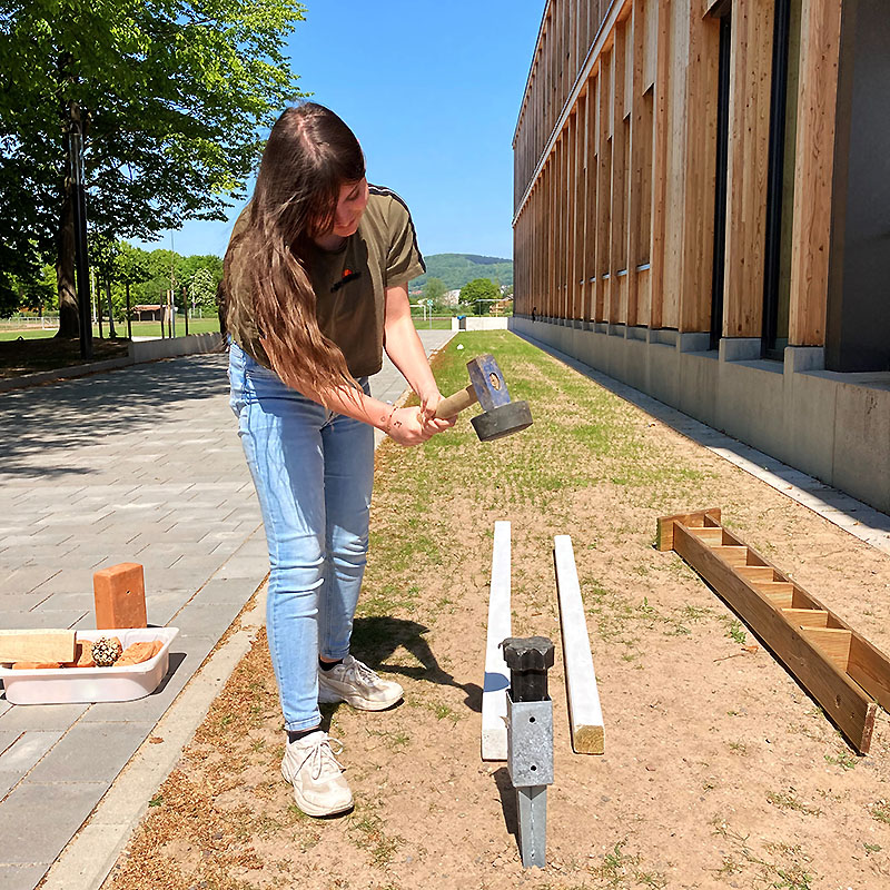 Aufbau der "Hier blüht euch was!" - Stelen