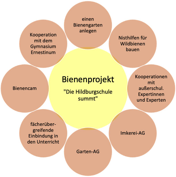 Ausblick und Bausteine des Bienenprojekts an der Hildburgschule