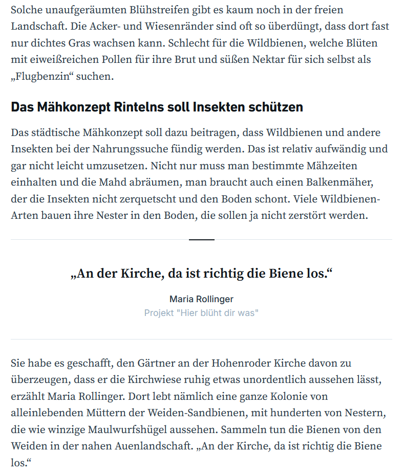 Wildbienen in Rinteln und wie man sie schützen kann - in Hohenrode gibt es dreiste „Kuckucks“-Bienen (Zeitungsartikel vom 17.04.2024, Teil 3)